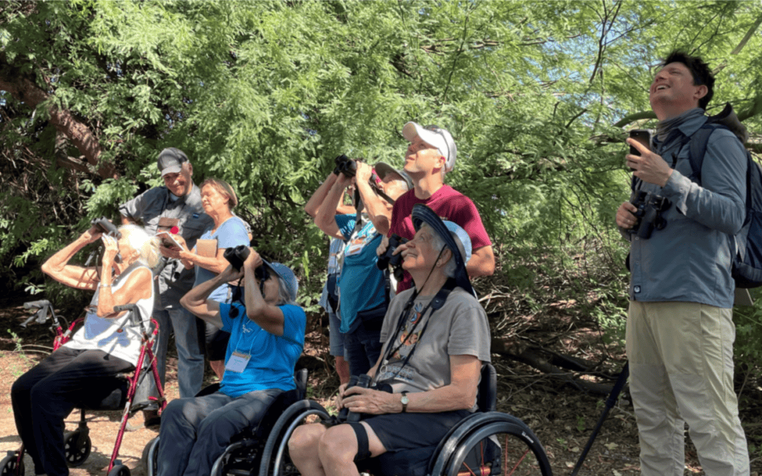 Birdability: Accessibility and Inclusiveness in The Outdoors
