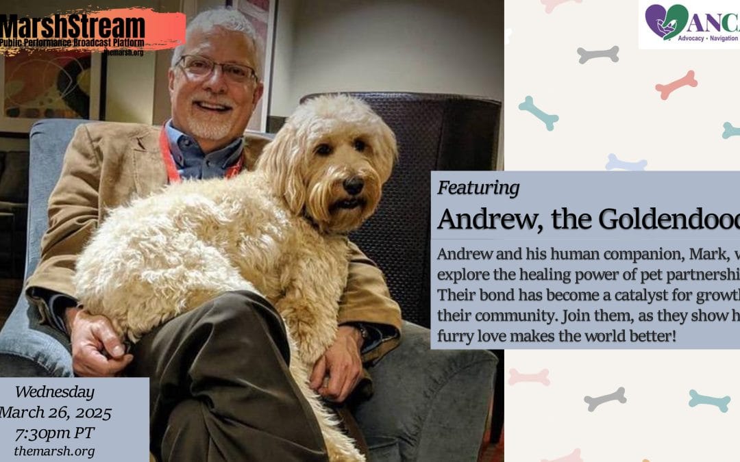 Solo Arts Heal with Andrew the Goldendoodle