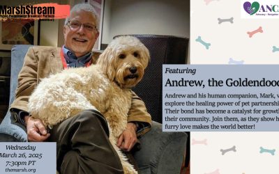 Solo Arts Heal with Andrew the Goldendoodle