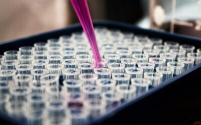The Role of Genetic Testing